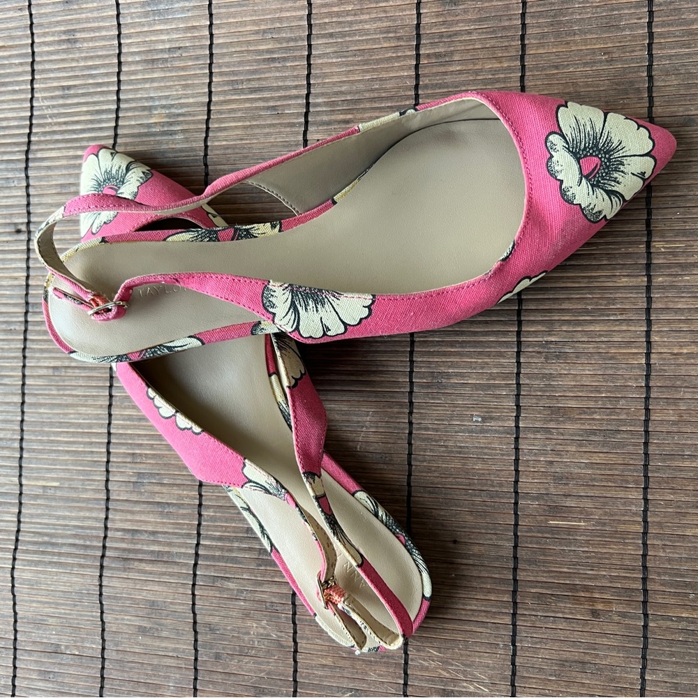 ANN TAYLOR